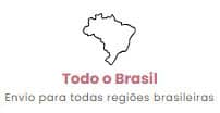 icone-todo brasil