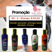 Kit 5 - Shampoo Van Beards